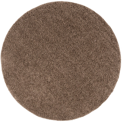 SAFAVIEH Athens Bharati Ilaha 1.5-inch Thick Rug