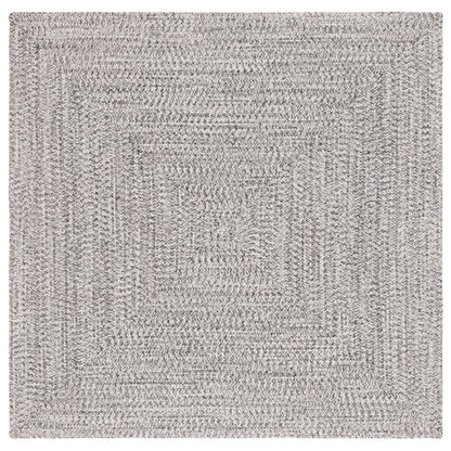 SAFAVIEH Handmade Braided Anthi Casual Rug