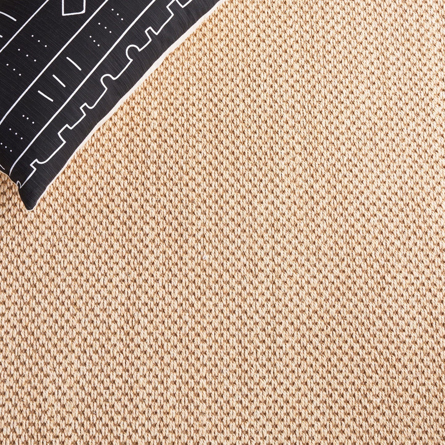 SAFAVIEH Natural Fiber Venus Casual Border Sisal Rug