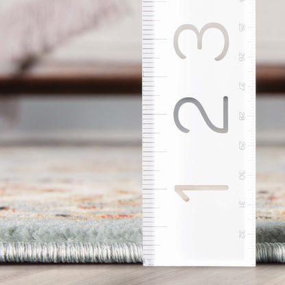 Well Woven Barclay Sarouk Oriental Persian Traditional Area Rug